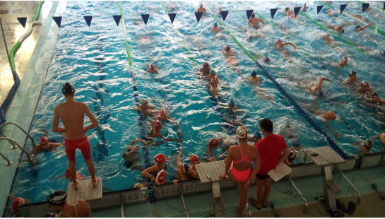 Nadadores Juvenis, Juniores e Seniores da Palmela Desporto participaram no Festival de Abertura em Setúbal