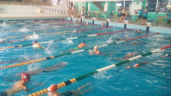 Nadadores Infantis da Palmela Desporto participaram no Festival de Abertura em Algés