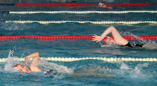 Jovens nadadores evoluíram no Torneio de Natação da Palmela Desporto