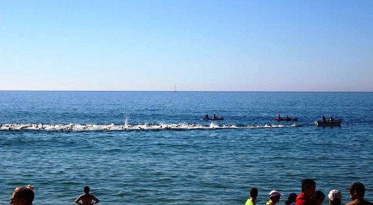 Nadadores da Palmela Desporto competiram na Travessia de Sesimbra